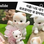 당신을 위협하는 정체불명의 <b>동물</b>