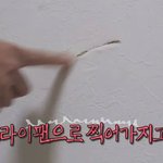 강남이 <b>방문</b>을 영원히 잠글 수 없었던 이유