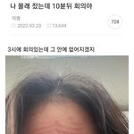 [어케생각해] 나 몰래 잤는데 10분 뒤 <b>회의</b>야