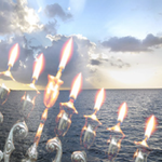 [유다이즘] 하나님의 기적을 널리 알리다