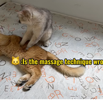 [<b>레이</b>] 사담)(24/7베리레드의날인듯?)