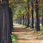 <b>한국</b> 도태남인데 인생이 너무 외롭고 힘드네요.