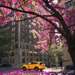 목요일 <b>업무</b> 종료.