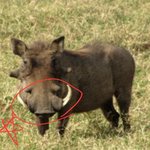 [테오시스] 사랑그리고