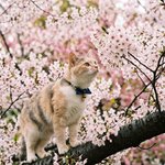 <b>오늘</b>은