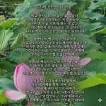 [댓글부탁해] <b>너</b>만  겪고  있는거  아니라고