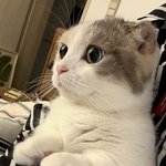 [혼자하는말] 그녀