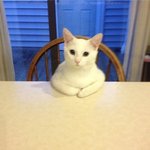 재수생들아 너네 <b>사회성</b> 안떨어짐?