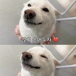 솔라시도래미도링<b>조아</b>해