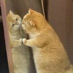 [혼자하는말] 그녀 뭐함 뭐<b>하심</b> 뭣중 ? ? ?