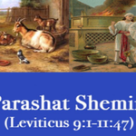 [유다이즘] 파라샤 쉐미니(שְׁמִינִי) <b>요약</b>