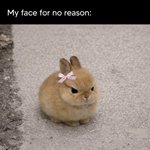 [나다] <b>귀요미</b> 귀엽다는것은 그다지 어렵지가