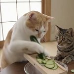 오늘 <b>조금</b> 바쁜거 같다