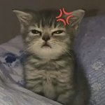 이렇게 조흔데 <b>초치</b>는 새기