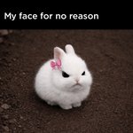 <b>분위기</b> 조은데