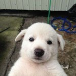 [드루와] 이거 좋아하는거같애??