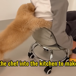 [<b>레이</b>] 210401)can't wait to meet laosi(베리레드)