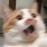 <b>생각</b>했더니