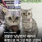 아 <b>오랜만</b>에 사냥했는데