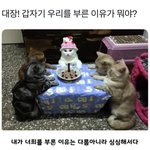 <b>다</b><b>들</b> 모여바 할 말이 있다 ^^