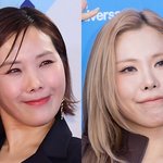 신봉선이랑 가비랑 닮았다고 하니까 쌍욕하는 심리가 뭐임?