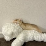 <b>야이</b><b>야이</b>야아아~~~~~~~~