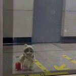 한 <b>주먹</b>거리지만