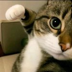 불꽃 <b>주먹</b>에