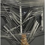 <b>아무</b> <b>일</b>도 없었다