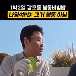 [드루와] 봄동 비빔밥 버터떡이 명백한 억지유행인 이유