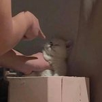 <b>저런</b> <b>말</b>하는 남자들이