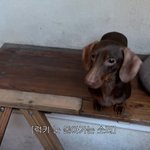 [혼자하는말] <b>슬기</b> 단점 찾음. ㅡㅅ ㅡ