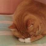 <b>어떡</b>하지?