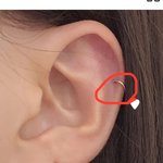 [댓글부탁해] 귓바퀴 피어싱 해 <b>본</b> <b>사람</b>