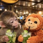 <b>펀치</b>랑 모히또 가서 몰디브