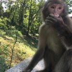 [하고싶은말] 165남자 거들먹거리는 여자야