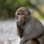 넌 <b>전신</b>을 다가리고 다녀