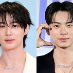 [추천선플만] 변우석·이채민 소속사, 악플러 신원 특정했다…“수사...