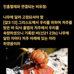 ✝진홍벌레로 자신의 대속을 비유하신 예수님!