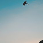 <b>월요일</b> 업무 끝.