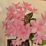 이렇게 억울한경우가 어디있나요