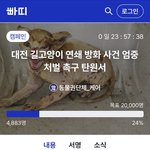 [댓글부탁해] 대전 길고양이 연쇄 <b>방화</b> 서명해줘