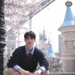 [댓글부탁해] 현재 <b>난리</b> 난 석촌호수 벚꽃존잘남