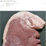누가봐도 미국산 <b>돼지</b>고기