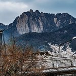 [국내<b>여행</b>] 도봉산역 벚꽃