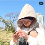 [어케생각해] 허윤진 한강 꽃 꺾은거 욕먹는 이유가