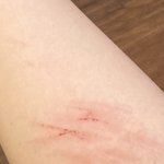 쿠팡 분명 입고로 확정돼서갔는데 현장에서갑자기 <b>출고</b>