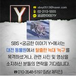 SBS는 대전 동물원에서 탈출한 늑대 '<b>늑구</b>' 제보를 기다립니다.
