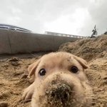 <b>남자들</b> 테토녀를 더 좋아하는듯