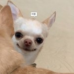 나다